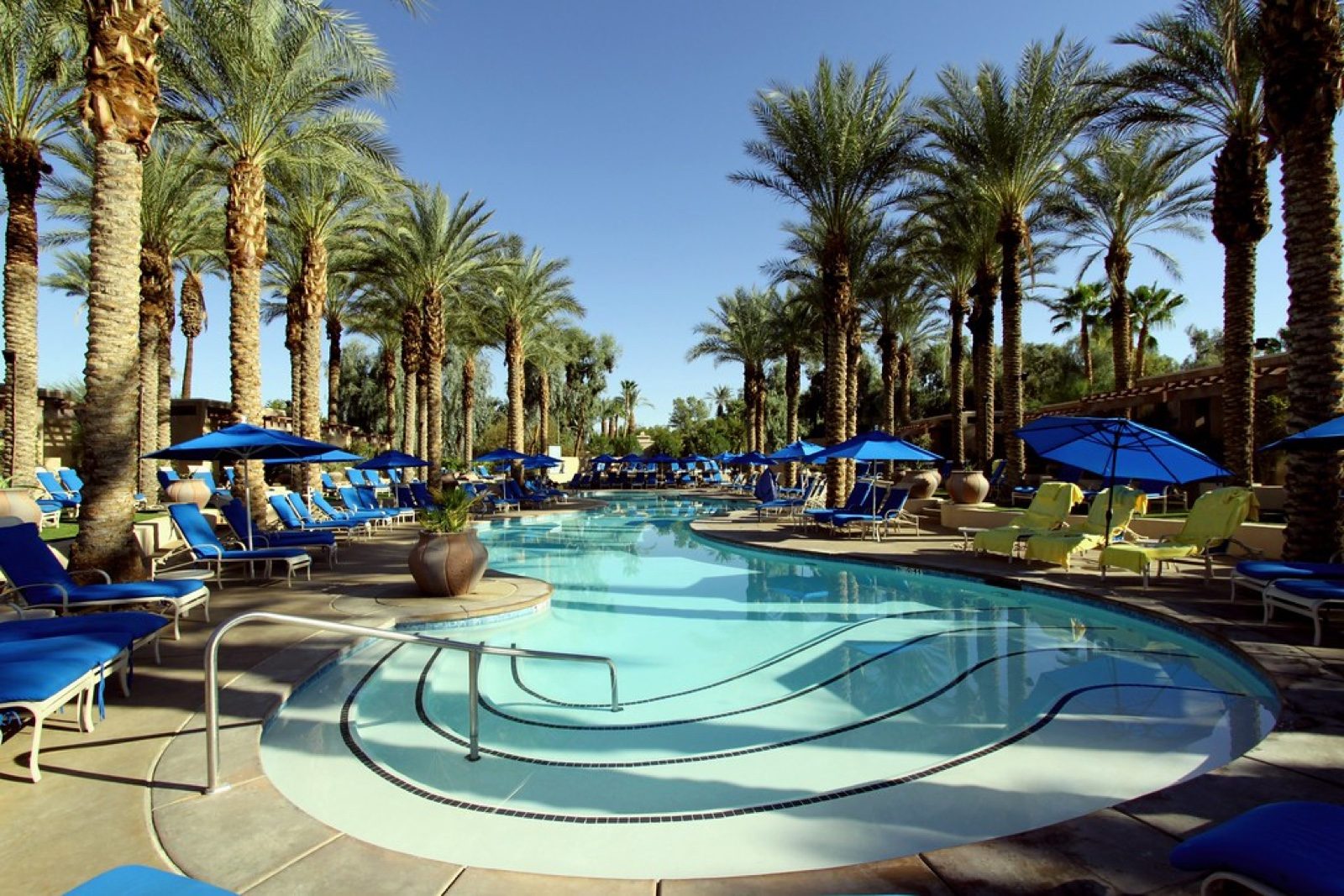 Resort pool lined with palm trees in Palm Beach